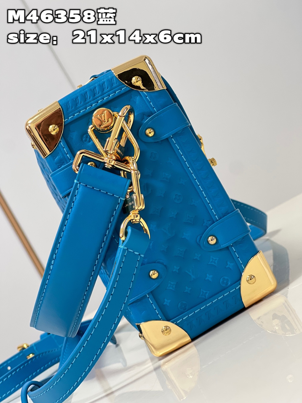 Louis Vuitton Side Trunk