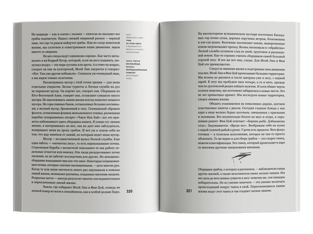 Гриб на краю света