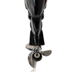 Лодочный мотор Toyama F 100 FEX-T-EFI (завод PARSUN) (4-х тактный)