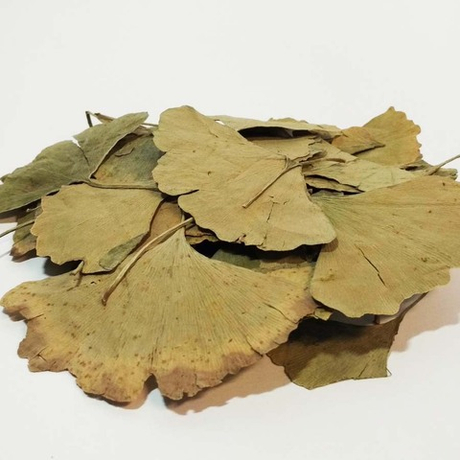 Гинкго билоба (листья)