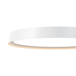 Потолочный светильник Maytoni MOD426CL-L43WK