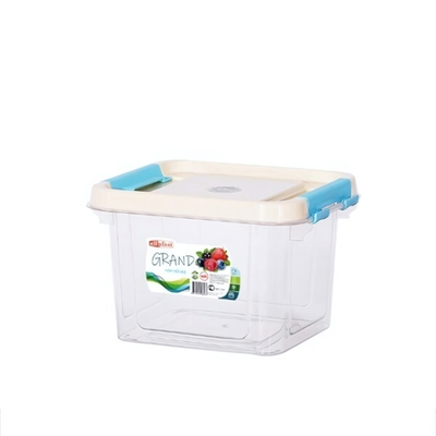 Контейнер "Grand" прямоугольный 0,8 л 142*116*91 цвет в ассортименте