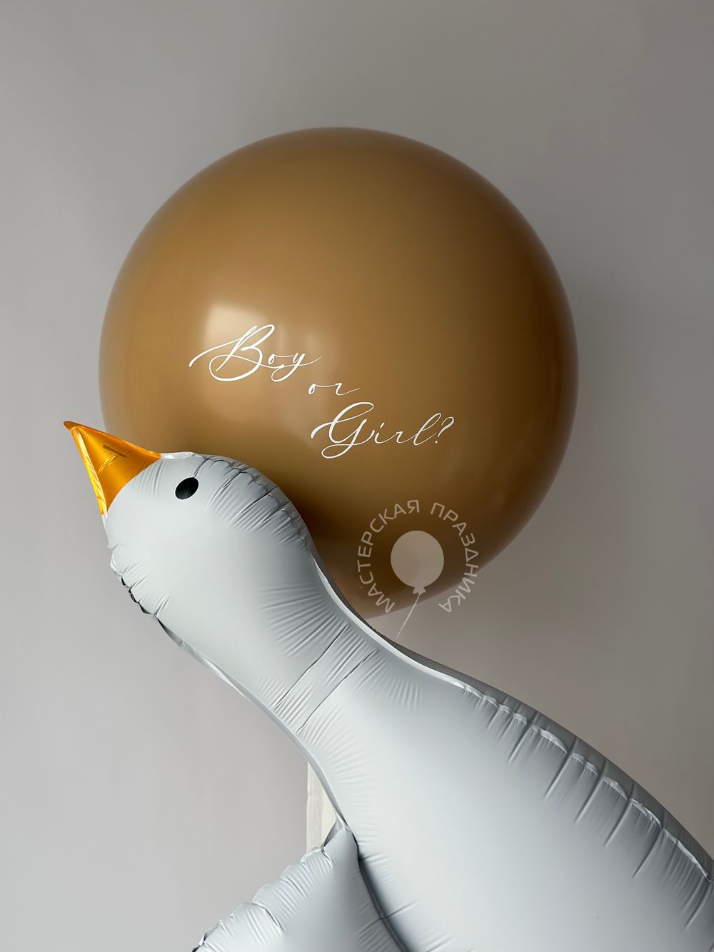 Воздушные шары на определение пола №8800 