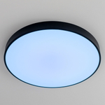 Citilux Купер CL724105G1 LED RGB Светильник с пультом Чёрный