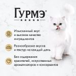 Лосось в желе, 75г влажный корм для кошек Гурмэ Перл