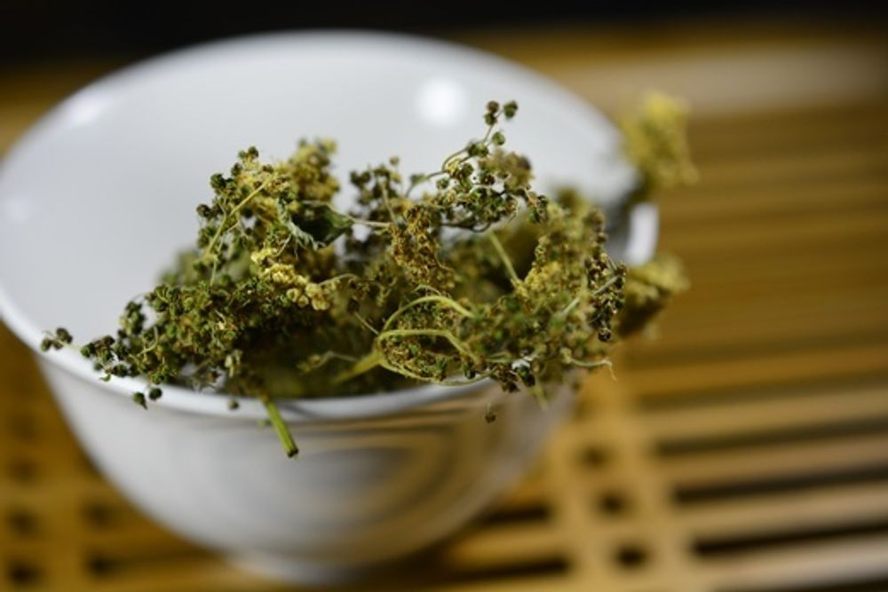 Таволга, цветы