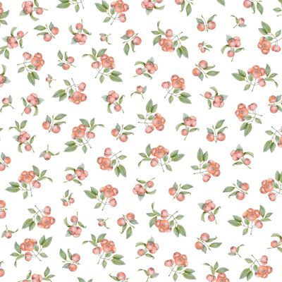 Ягоды на белом