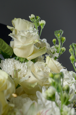 Чистая радость *