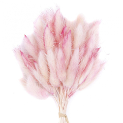 Сухоцветы ЛАГУРУС 65см 34гр СВЕТЛЫЙ №1