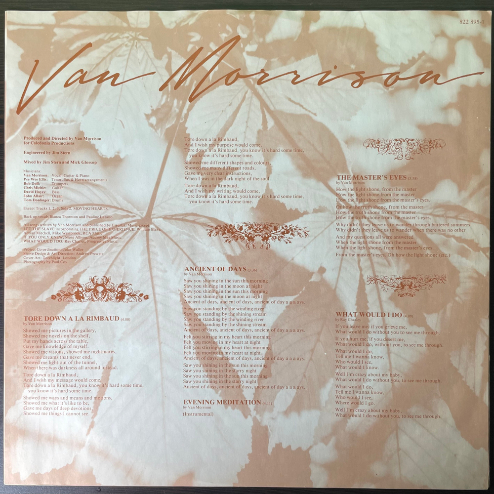 Van Morrison ‎– A Sense Of Wonder (Голландия 1984г.)