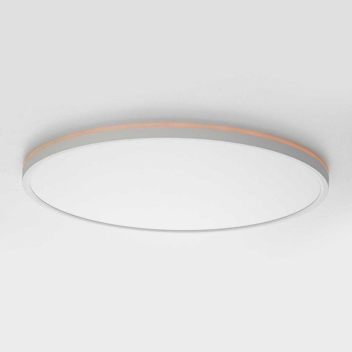 Потолочный светильник Citilux NORMA CL749500