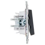 SKANDY Выключатель 2-клавишный 10А SK-V04G графит IEK