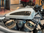 Sportster S (BILLIARD GRAY) Harley-Davidson 2024 мг