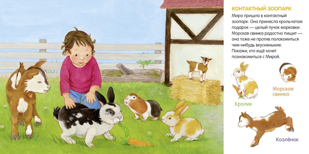Книжки-картонки. Я учусь говорить. Животные