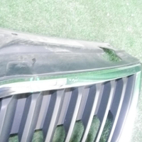 Решетка радиатора Skoda Rapid (2012-2020)