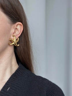 Моноклипса Морская звезда