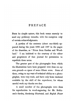 Wood and garden | Jekyll Gertrude