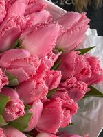 Тюльпаны кружевные - ярко-розовый цвет