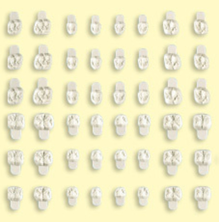 Гнатофлекс Премиум 48 форм (по 16 форм  A,B,C) 429P0048