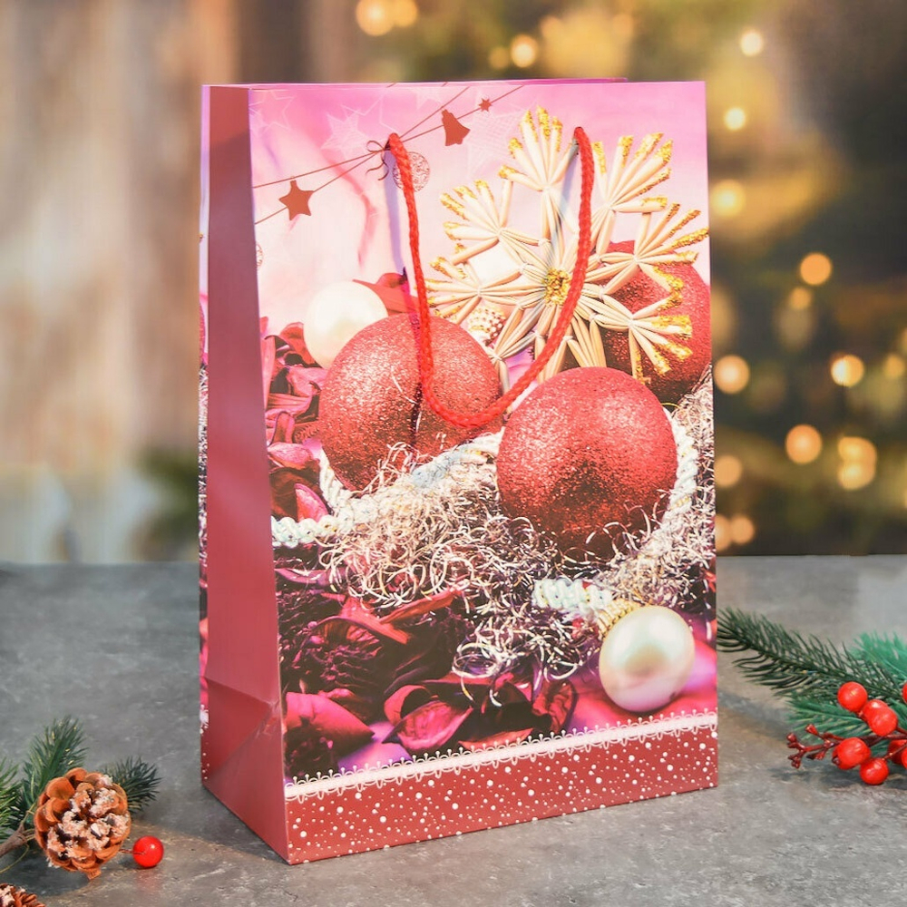 Пакет бумажный 20*30*10см с ручками "Новый год" (микс 431)