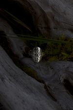 Кольцо Небесный Свет, Луна