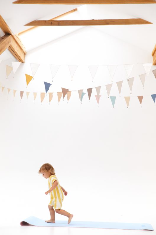 Песочник полосатый / Mamanka