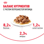 Royal Canin Appetite Control Care Корм консервированный для взрослых кошек соус 85 г