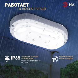 Светильник ЖКХ светодиодный ЭРА SPB-202-0-65K-012 IP65 12Вт 6500К 195x95 овал | Светильники для ЖКХ IP65