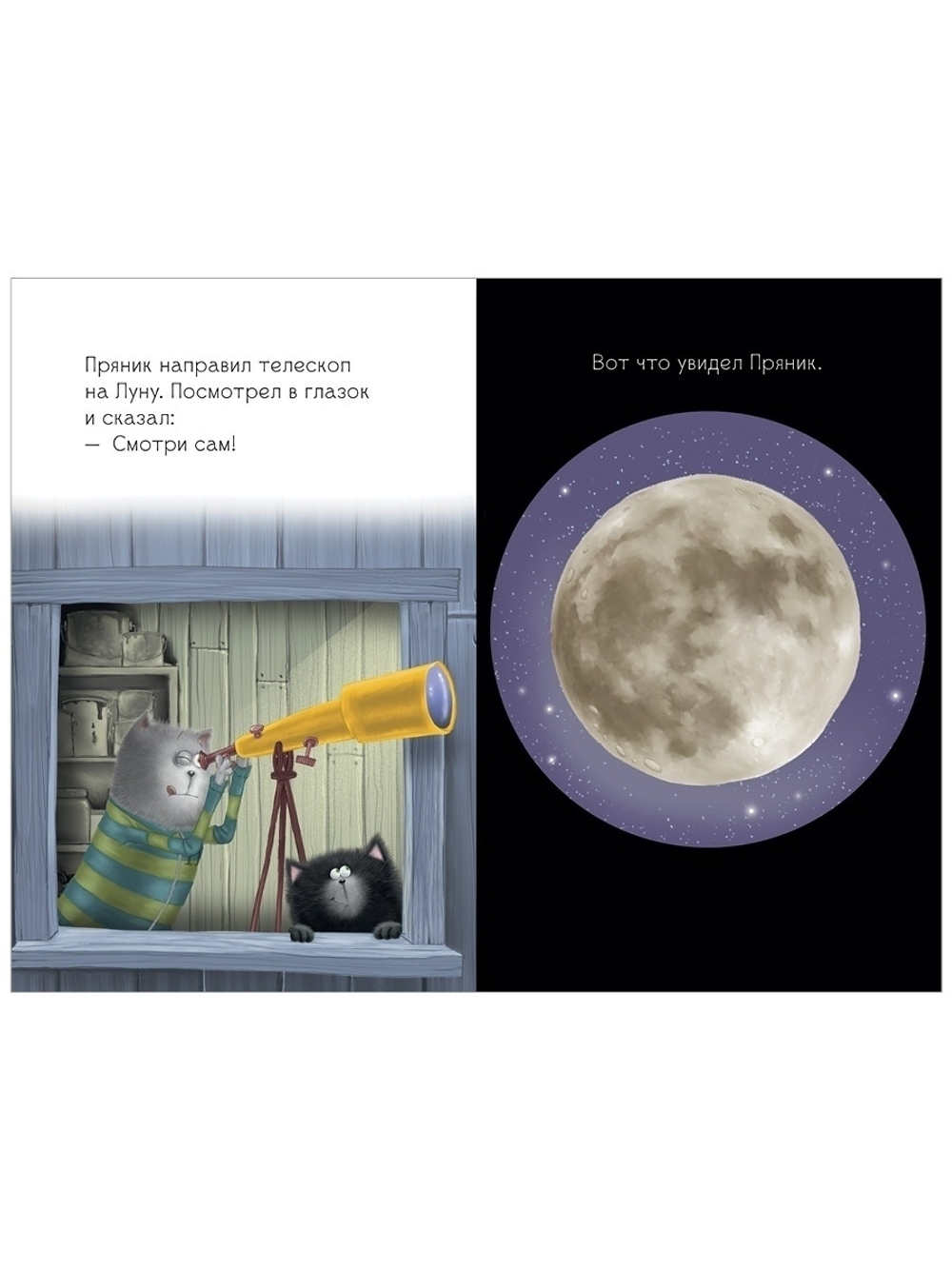 Котенок Шмяк и лунный кот