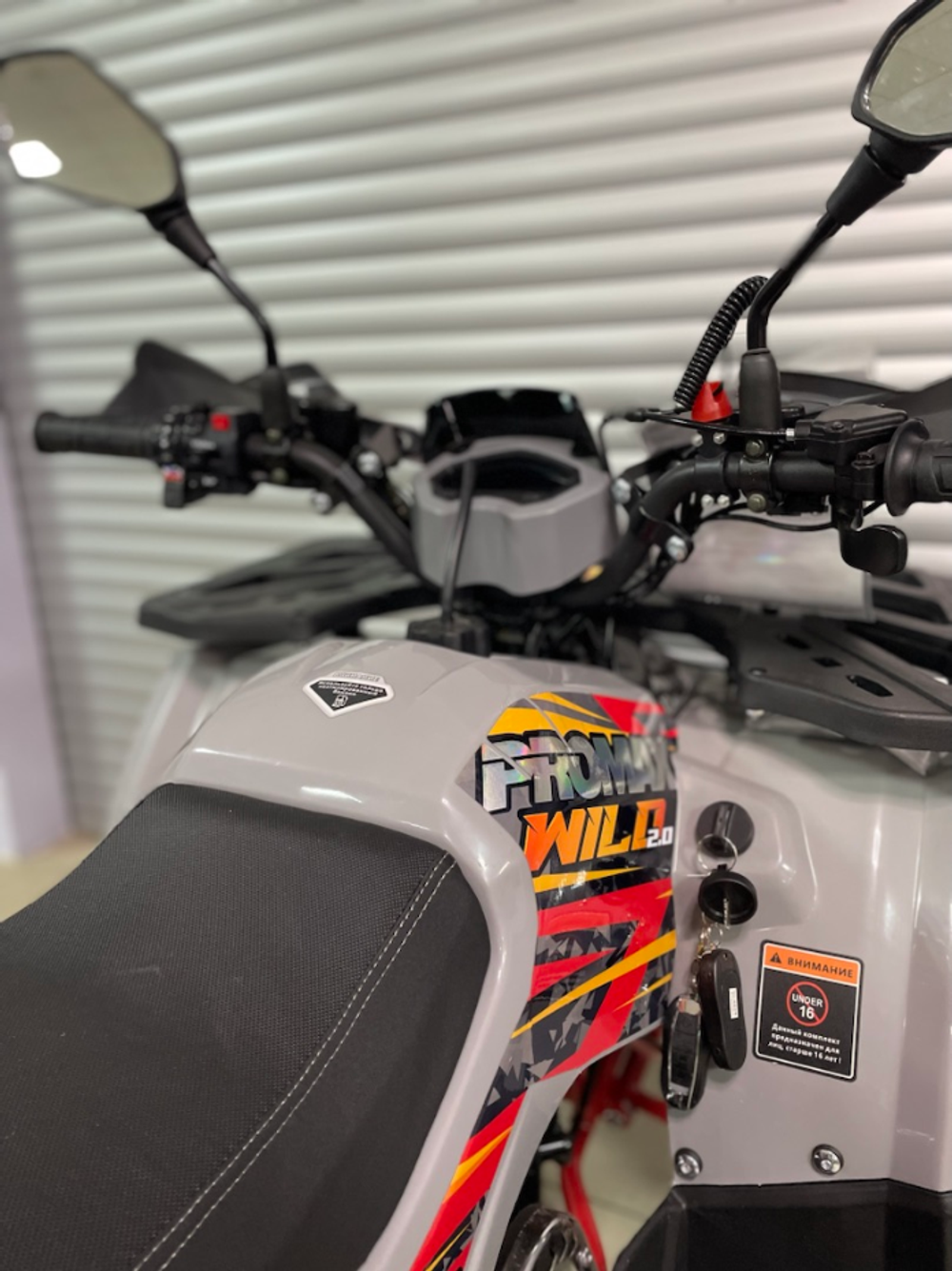 Квадроцикл PROMAX WILD 2.0 190 PRO (2025)