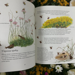Цветочная книга шмеля