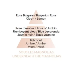 Maison Berger Paris - Ароматическая свеча Molecule Prune Magnolia 240г / артикул   7411  / GTIN 3127290074119