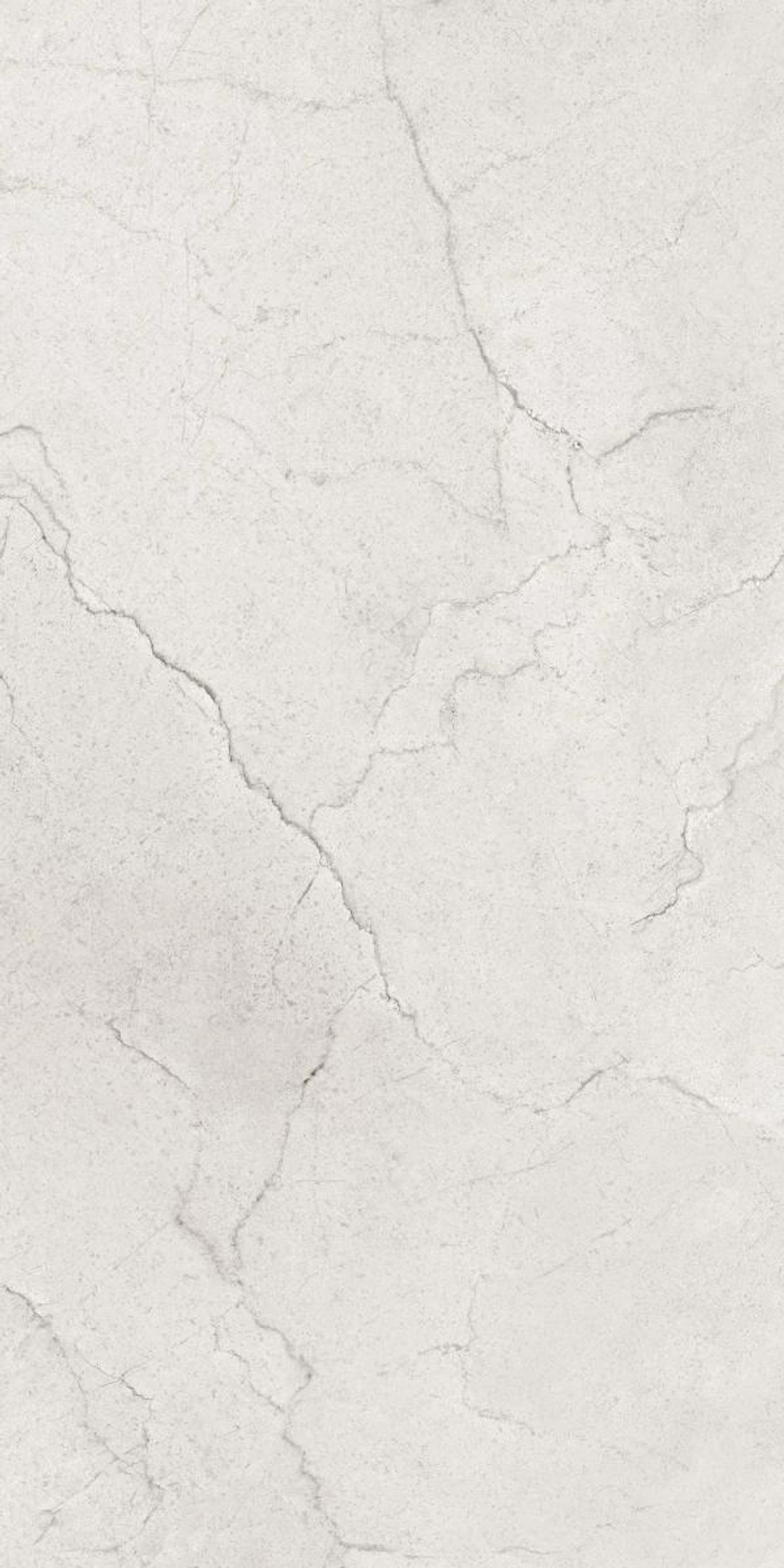 Керамогранит, MAIMOON, Flority Ash, 1200x600 мм, полированная