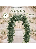 Лиана Эвкалипт папоротник