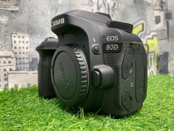 Canon 80D 4.000 кадров
