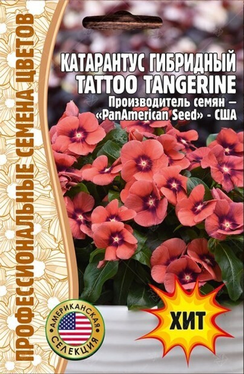 Катарантус гибридный Tattoo Tangerine F1