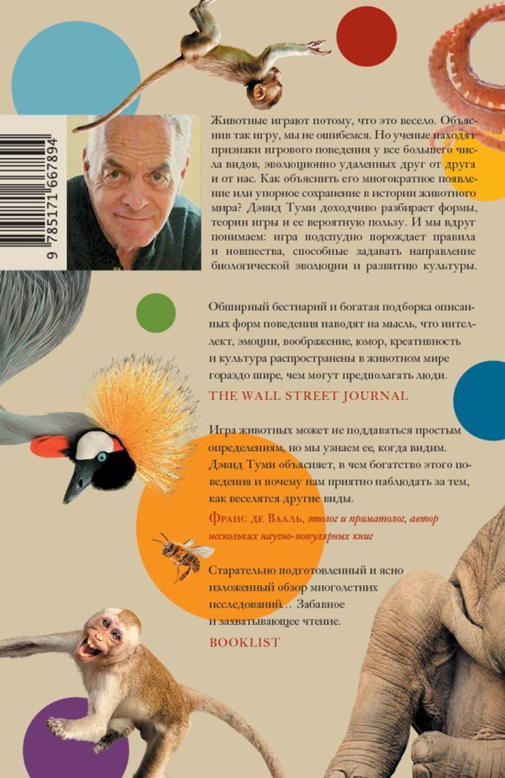 Царство игры