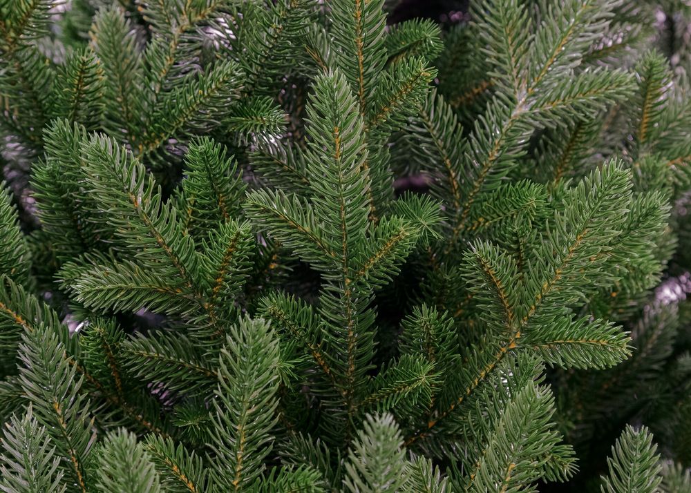 Ель искусственная «Синдия» (Литая хвоя) 180 см / 1,8 м