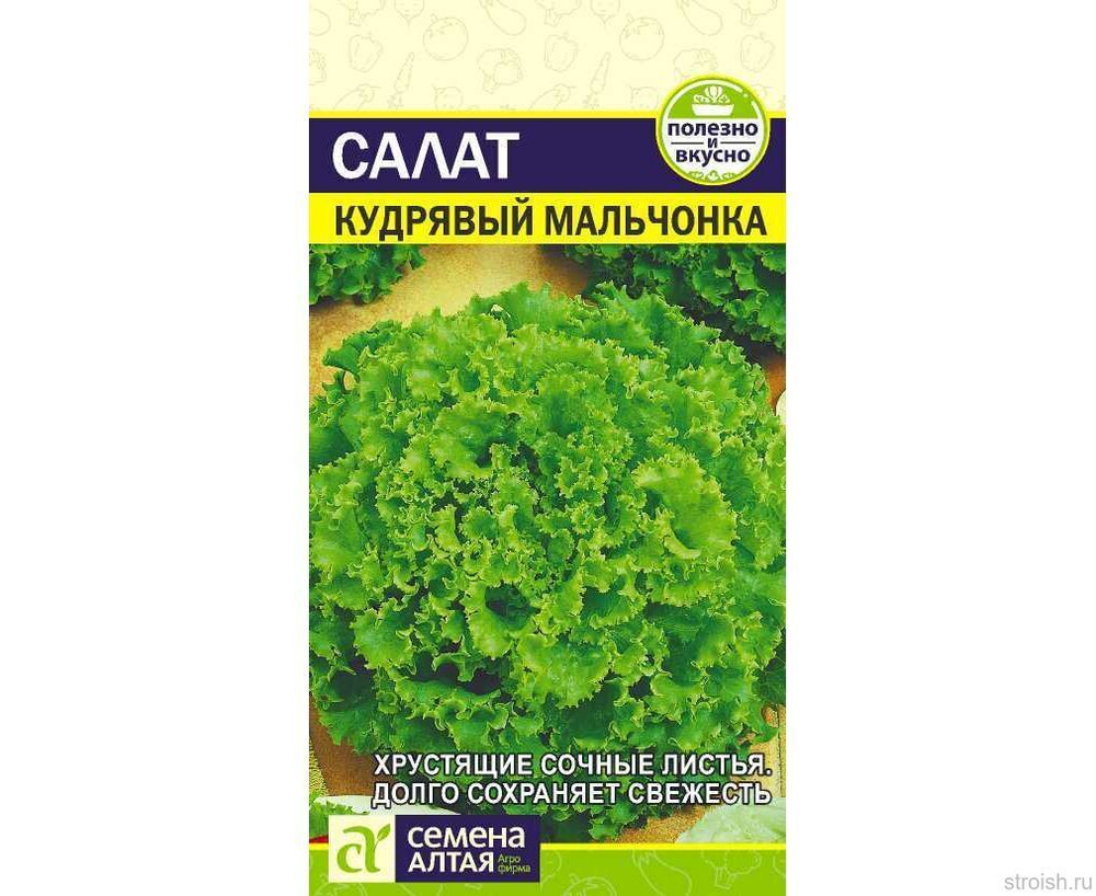 Салат семена зеленый