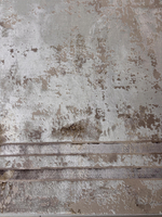 Ковер Zara/Oscar (280*580 см)