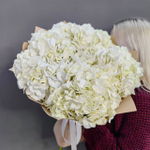 Букет из 5 белых гортензий (Колумбия)