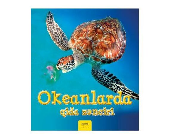 Okeanlarda qida zənciri