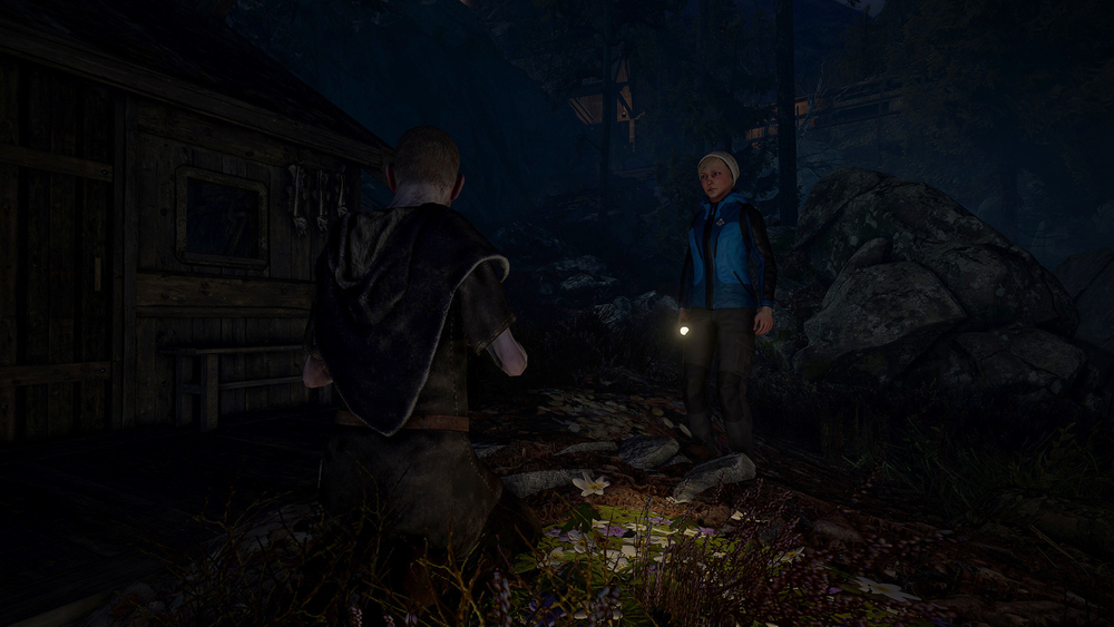Through the Woods (для ПК, цифровой код доступа)