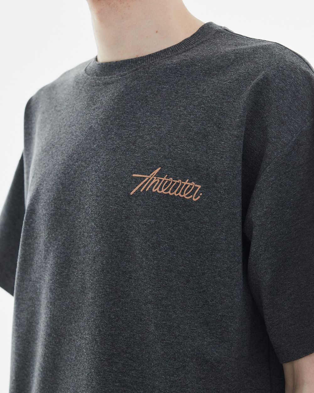 Футболка Anteater Phat 356 графитовая