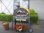 Печь для пиццы на дровах ALFA PIZZA Ciao