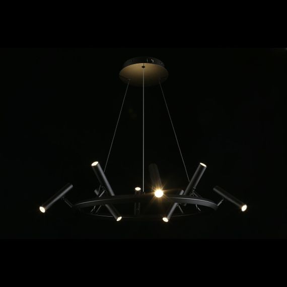 Подвесная светодиодная люстра Aployt Honor APL.067.03.40