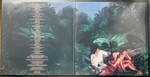 Deodato ‎– Love Island (США 1978г.)