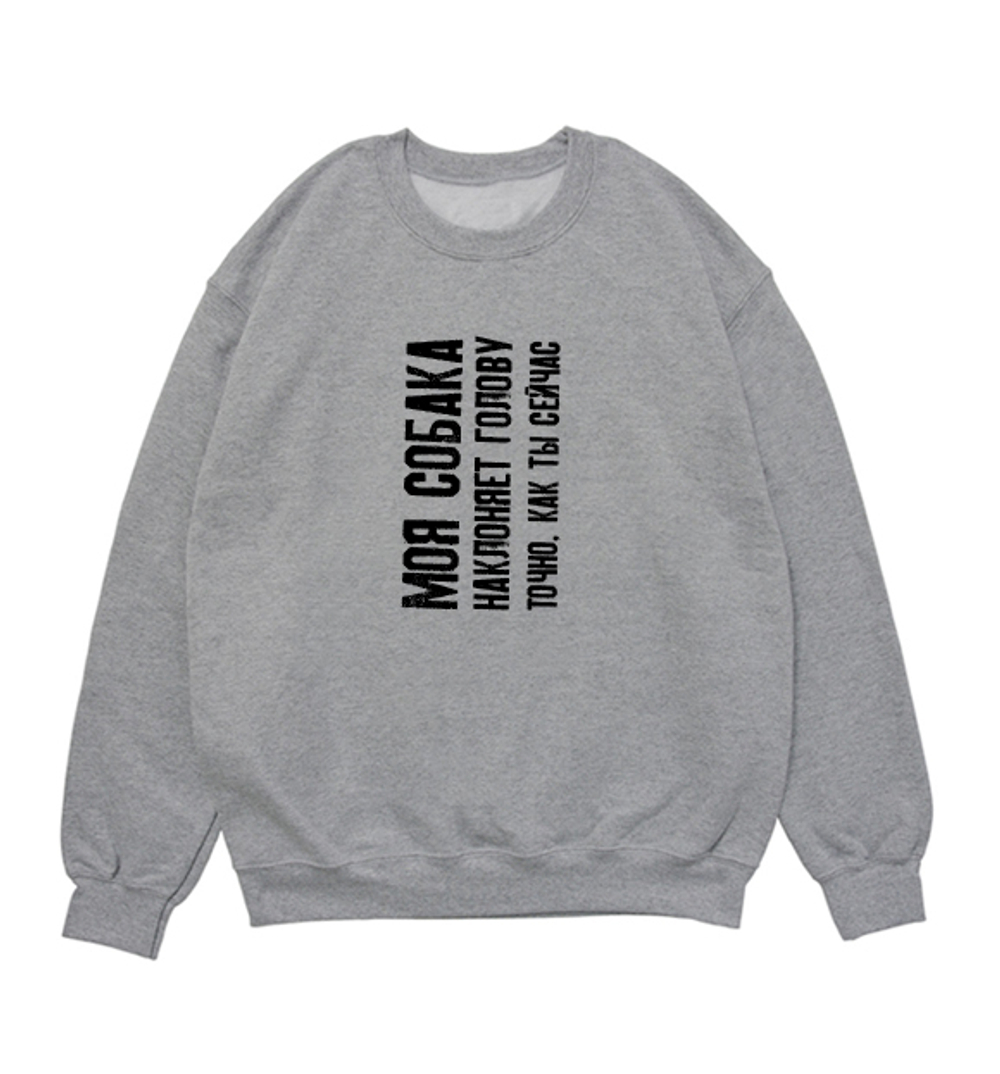 Свитшот "Наклони голову, чтобы прочитать"