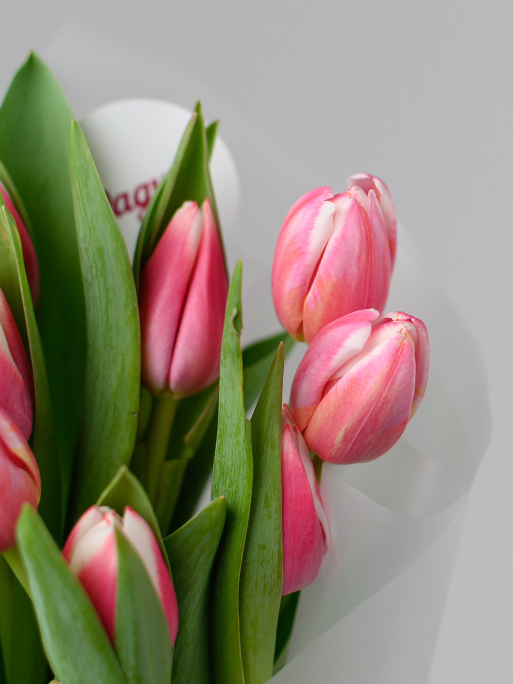 Тюльпаны микс