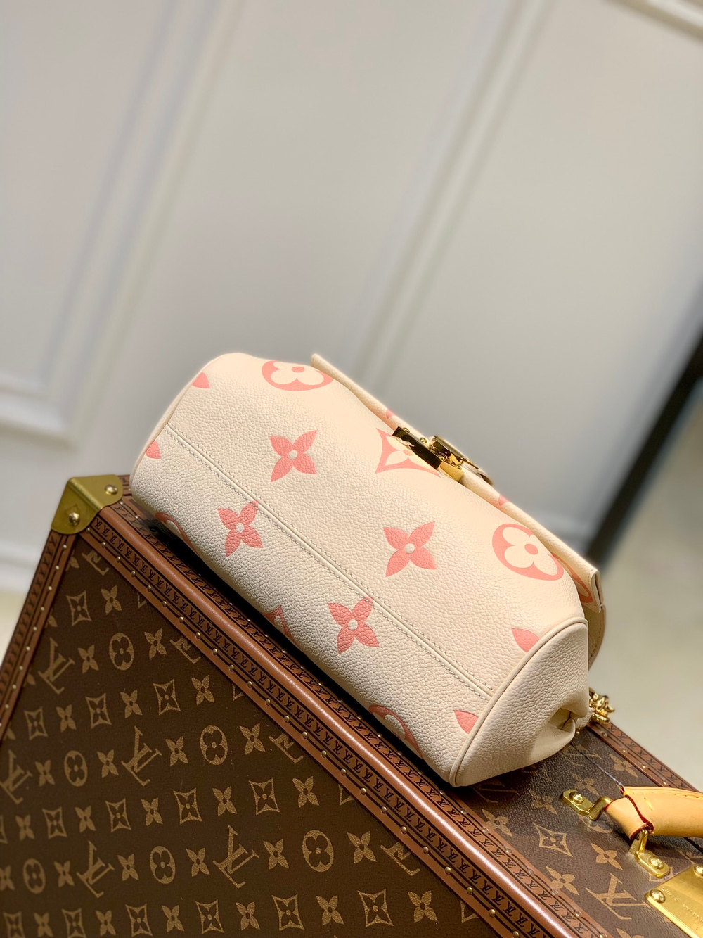 Louis Vuitton Favorite